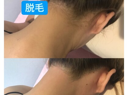 ベル(Belle)の写真
