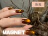 【HANDネイル】マグネットネイル♪ジェル付替無料（ソフトのみ）ケア込