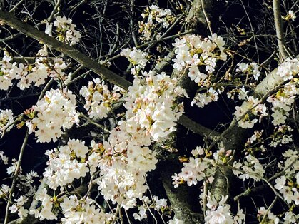 リラクゼーション整体 りめいくの写真