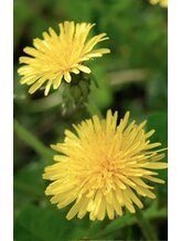 中国気功整体院 駅前第1ビル店 姚 (男)