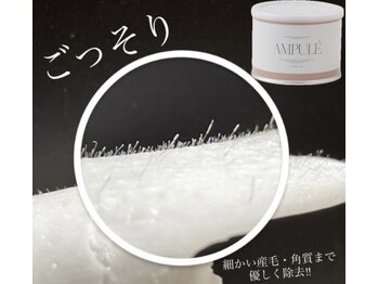 まつ毛エクステ ネイル専門サロンマドモア プティット(MADEMORE petite)/シアバター配合アンプルWax使用