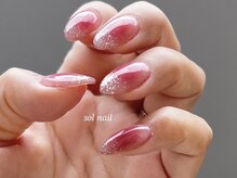 ソルネイル(sol nail)/◆ 《3月人気no.1》チーク＆ラメ