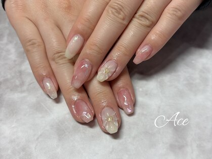 エース(Ace)の写真