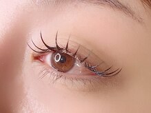 リー(Rii)/フラットラッシュ150本