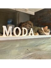 ネイルズ モダ(NAIL'S MODA)&nbsp;嘉納 早希