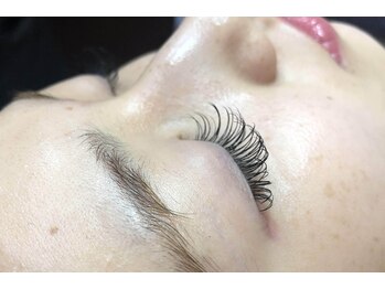 シルフ 石橋店(Sylph)/カシミヤDカール