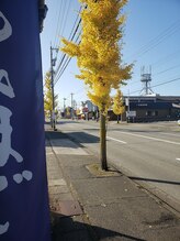 もみほぐし手楽/秋だね