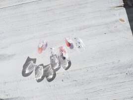 2月select(J)5,980円/全10種