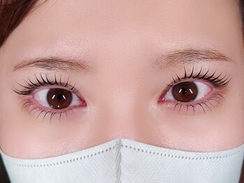 アイラッシュ ノード(eyelash nodo)/ラッシュリフト上下