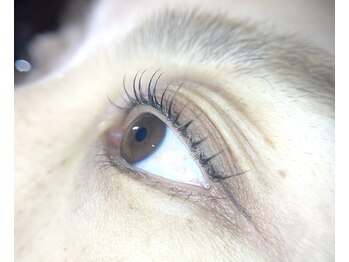 アバンテ シル(Avante_CIL)/ラッシュリフト