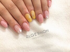 NEW定額デザイン