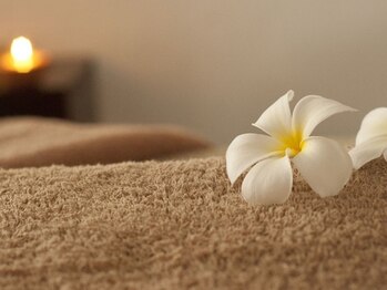 トレビアン/内観