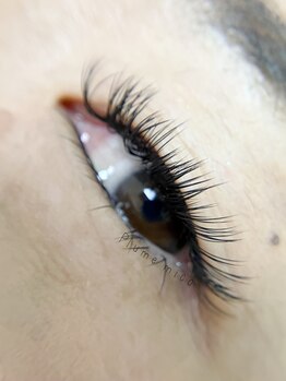 プルームミコ(Plume mico)/バインドロック120束