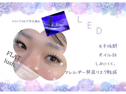 ツヤンドットアイズ(tuyan.eyes)の写真