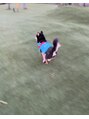 ベイビーズブレス(Baby's Breath) グランピングに行ったら、思いっ切り走って遊ぶワン!