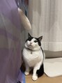 癒し~ぷ 藤沢店 大好きな愛猫です!ツンデレな性格にメロメロ