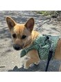 ジェイミー(Gemiey) 大きく成長しているツナちゃんです。とてもかわいいです!