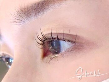 シェル 松戸(Shell)/束感を求めるならまつ毛パーマ