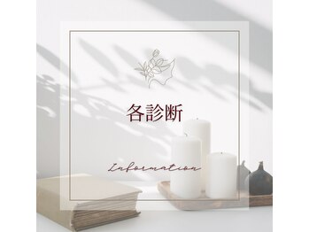 シナスタイル(SHINA STYLE)/各診断