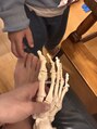 彩りよもぎサロン バイ プレフェランス(Preference) 美容整骨の資格を勉強中です!骨模型に興味津々の息子。