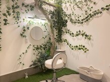 ヌマール バクの森/お部屋の中