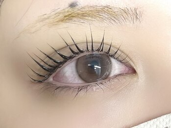 エーアール(ar)/パリジェンヌ/まつげパーマ