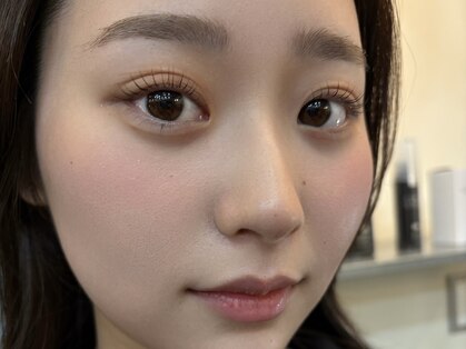 シロ(Shiro)の写真