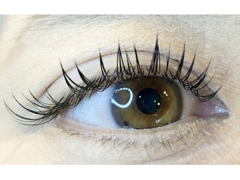 レミア 関内(REMIA)/5月　フラットラッシュ