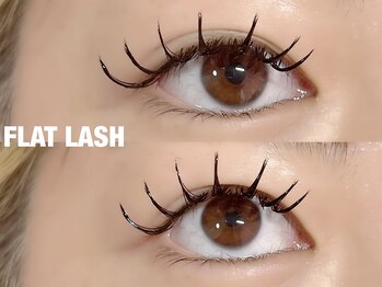 アイネ(i:Ne)/フラット120本