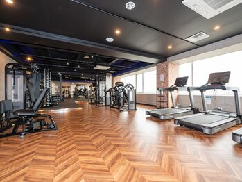 アルファボディプラン