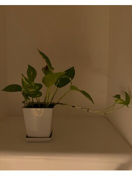 澪樹(mijyu)/雰囲気抜群