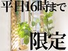 【平日16時まで限定】人気の極上ドライヘッドスパ60分 6500円→5100円