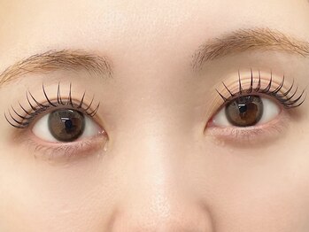 リプリ(RePuli)/フラットラッシュ100本