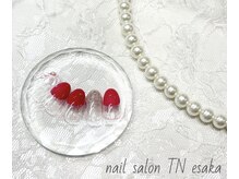 ティーエヌ 江坂店/季節の定額6600コース〔江坂〕