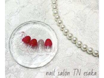 ティーエヌ 江坂店/季節の定額6600コース〔江坂〕