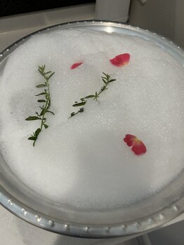 ティアラ(TIARA)/お庭に咲いた薔薇の足湯
