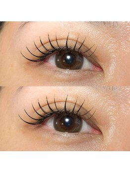 チェロ(Chelo)/フラットラッシュ120本