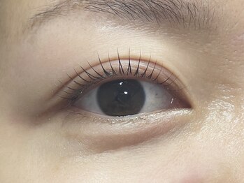 コリン 相模原(Corin)/カールデザイン