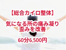【オーダーメイド全身整体カイロ矯正～60分6,500円】