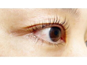 クレー(Klee)/パリジェンヌラッシュリフト