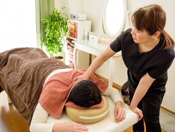 ハナミズキ/首こりでお悩みの方にお勧め。