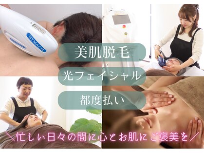 ウィローの写真