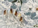 7月【定額】シンプルナチュラル