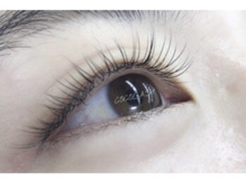 ココラッシュ 新宿西口店(cocolash)/フラット120本