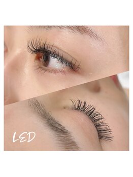 シュカ(Shuka)/LED140本