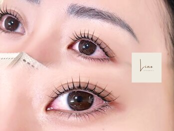 リノ 中目黒(Lino)/ラッシュリフト+アイブロウWax