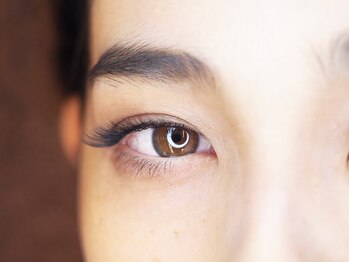 デザインケー 本店(design K)/最軽量&高持続 フラットラッシュ