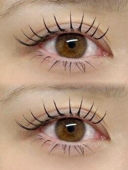 フルール(FLEUR)/フラットラッシュ120本