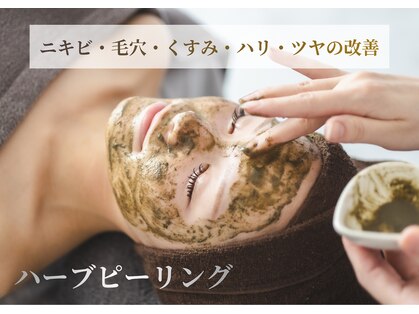 エース(ACE.)の写真