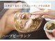 エース(ACE.)の写真